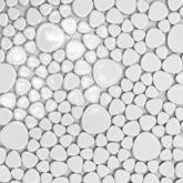 Elada Mosaic. Мозаика SH- JP-01 (300*300*6 мм) белая