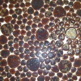 Elada Mosaic. Мозаика SH- JP05 (300*300*6 мм) янтарная