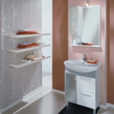 Зеркало-шкаф "Альтаир 65" 1000-2 (лев) (816*620*148) без светильника