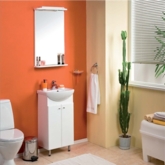 Зеркало-полка "Мира-47" 198-2 (817*496*120)